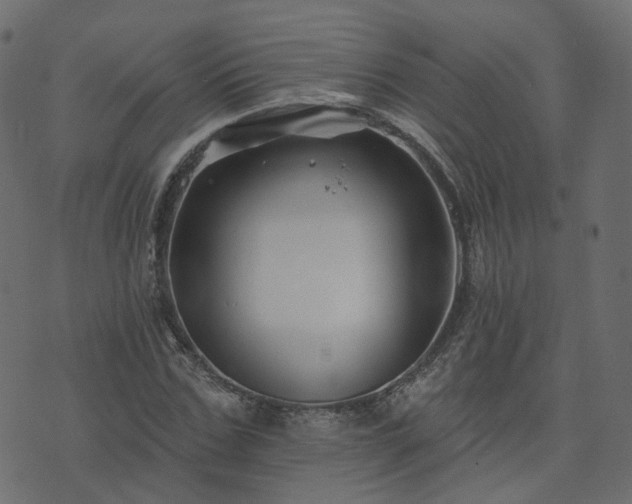 X0000073910971200608181020