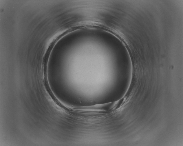 X0000073910987200608181019
