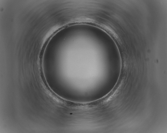 X0000073910990200608181019
