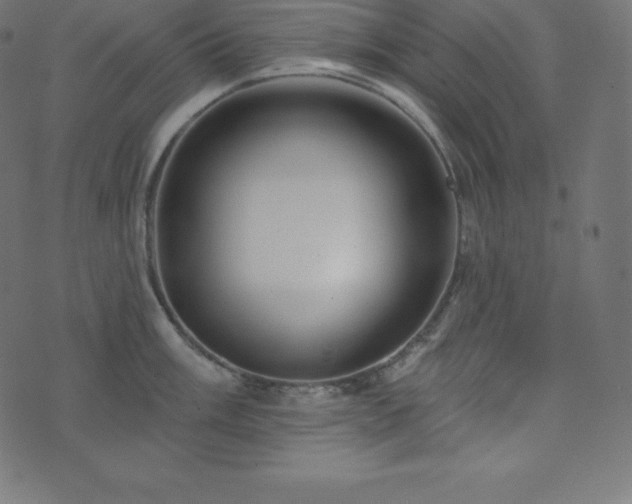 X0000073911003200608181019
