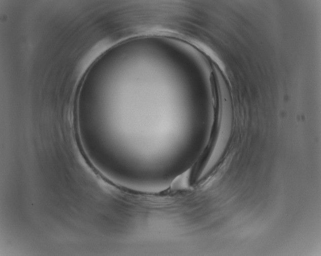 X0000073911007200608181019