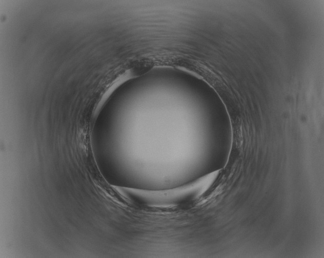 X0000073911010200608181018