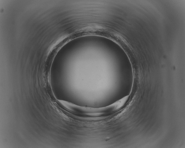 X0000073911018200608181018