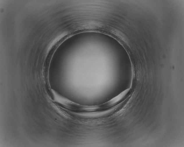 X0000073911026200608181019