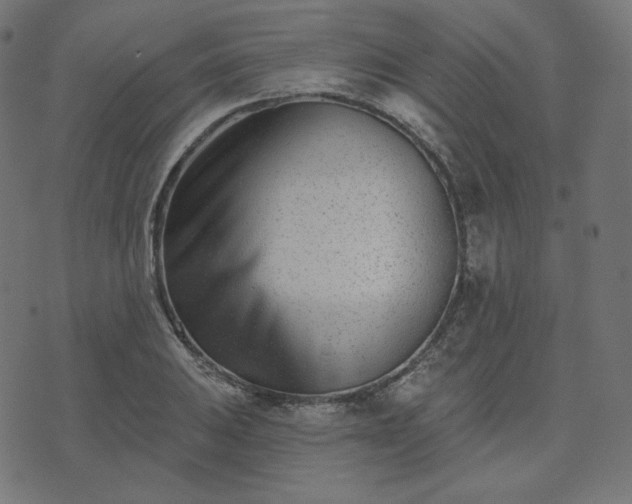 X0000073911031200608181019