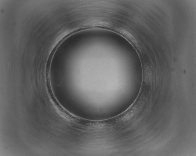 X0000073911039200608181019