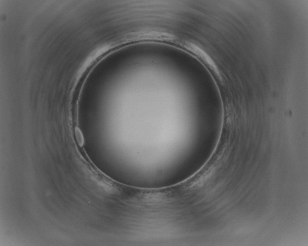X0000073911043200608181019