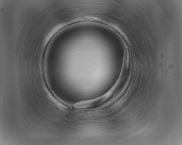 X0000073911054200608181019