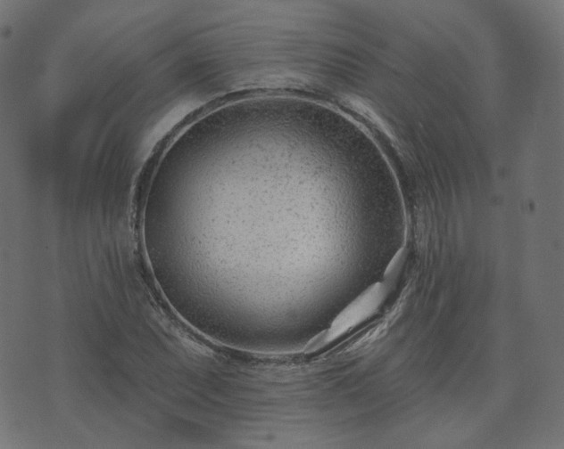 X0000073911071200608181018