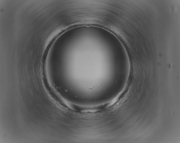 X0000073911085200608181018
