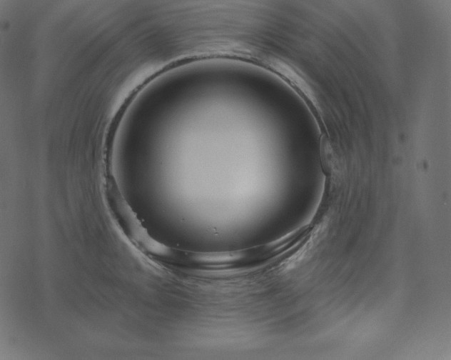 X0000073911093200608181018