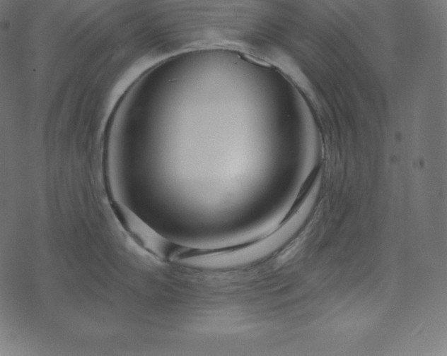 X0000073911102200608181018