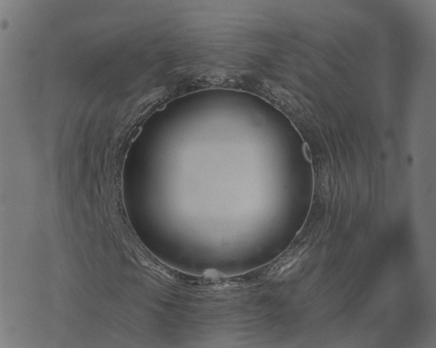 X0000073911105200608181017