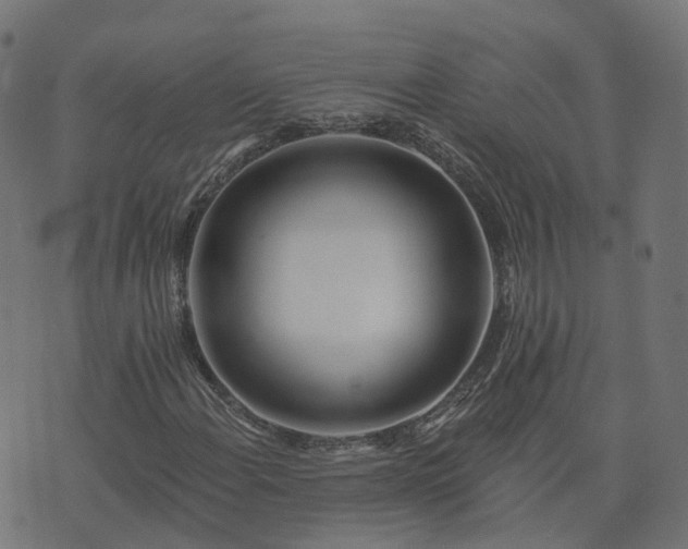 X0000073911108200608181017