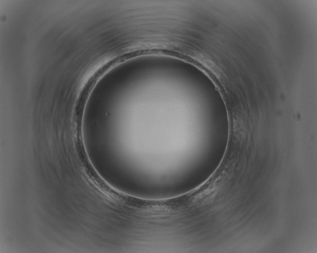 X0000073911119200608181017