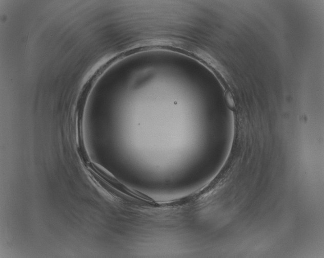 X0000073911127200608181017