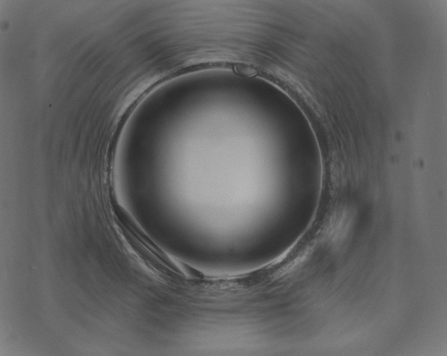 X0000073911129200608181017