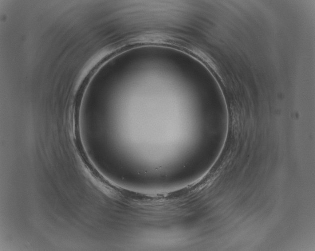X0000073911131200608181017