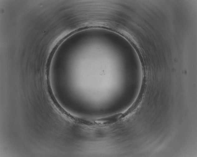 X0000073911133200608181017