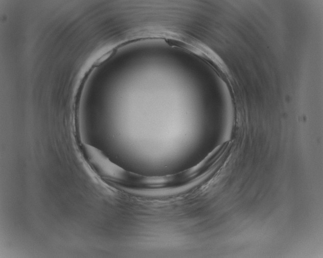 X0000073911144200608181017