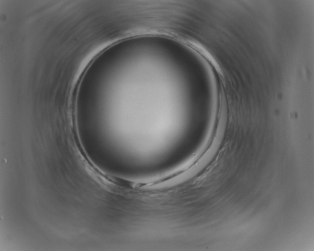 X0000073911148200608181017