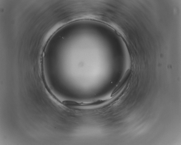 X0000073911151200608181017