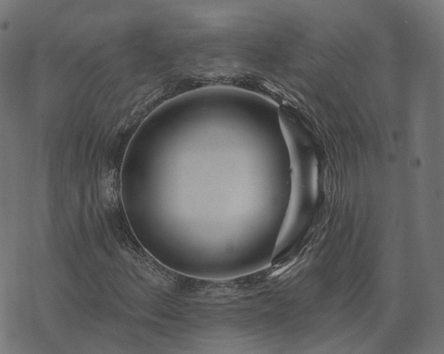 X0000073911156200608181017