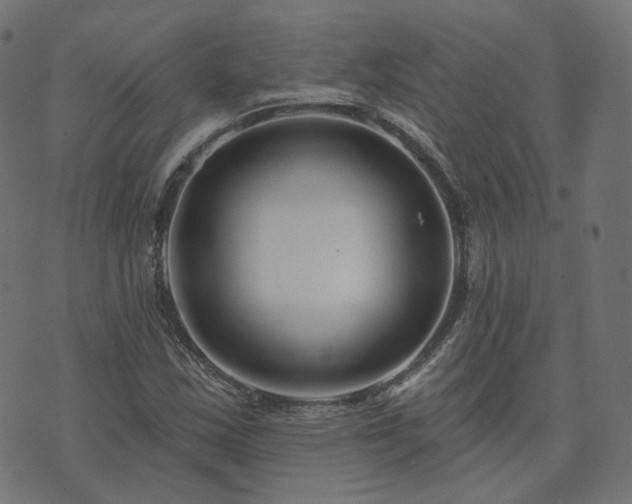X0000073911163200608181016