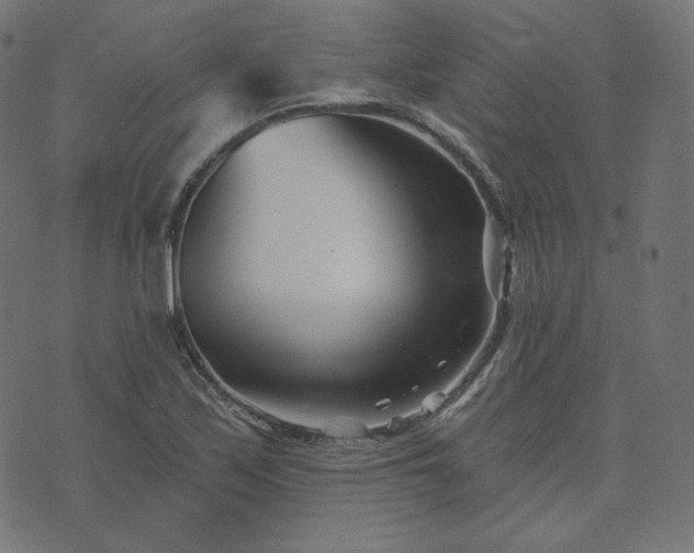 X0000073911171200608181016