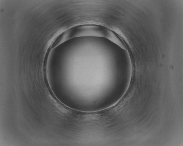 X0000073911181200608181016