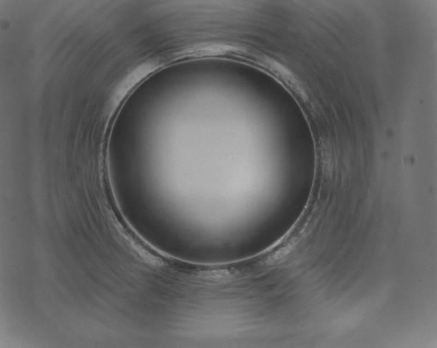 X0000073911186200608181016