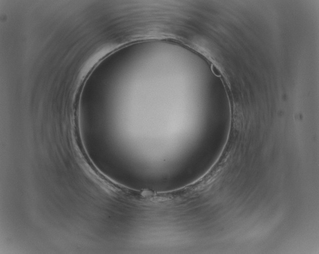 X0000073911187200608181016