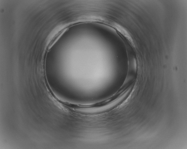 X0000073911192200608181016