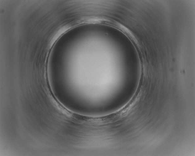 X0000073911194200608181016