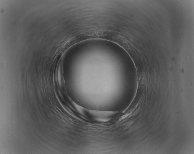 X0000073911202200608181015