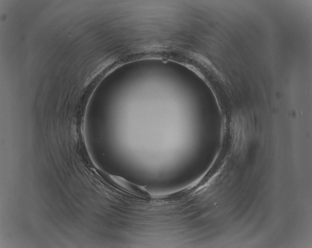X0000073911209200608181015