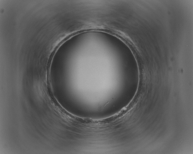 X0000073911220200608181015