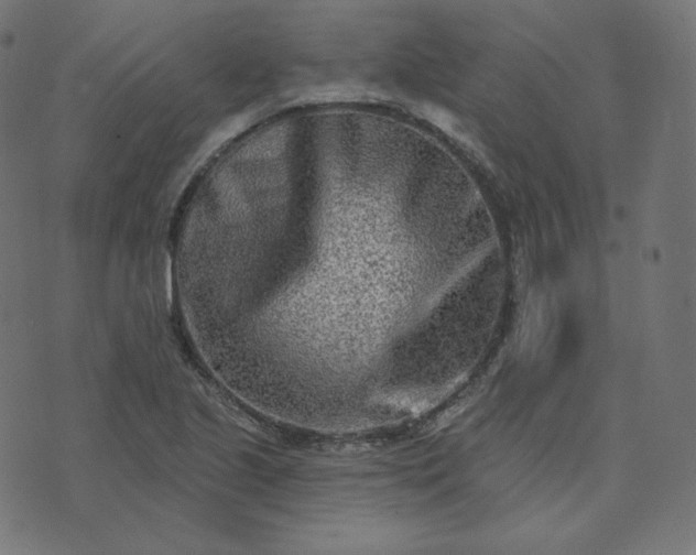 X0000073911221200608181015