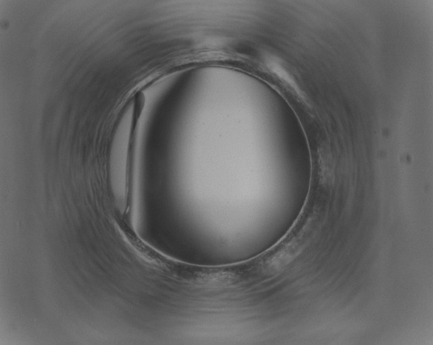 X0000073911225200608181016