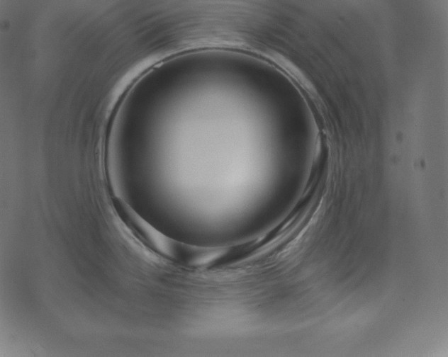 X0000073911246200608181016