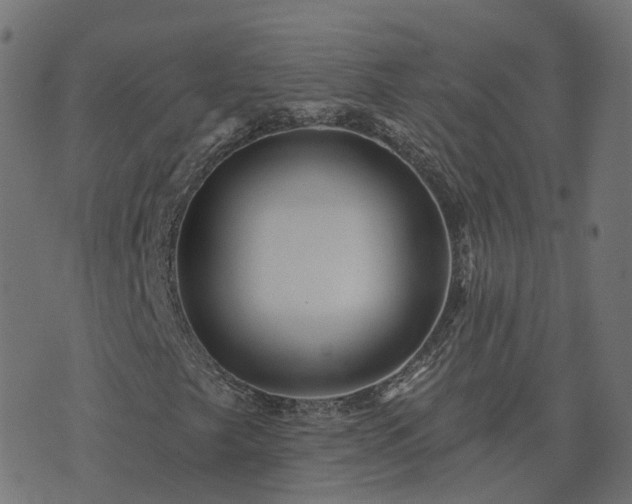 X0000073911249200608181015