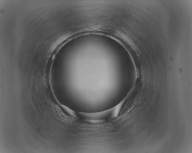 X0000073911308200608181014