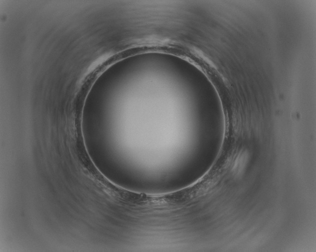X0000073911315200608181014