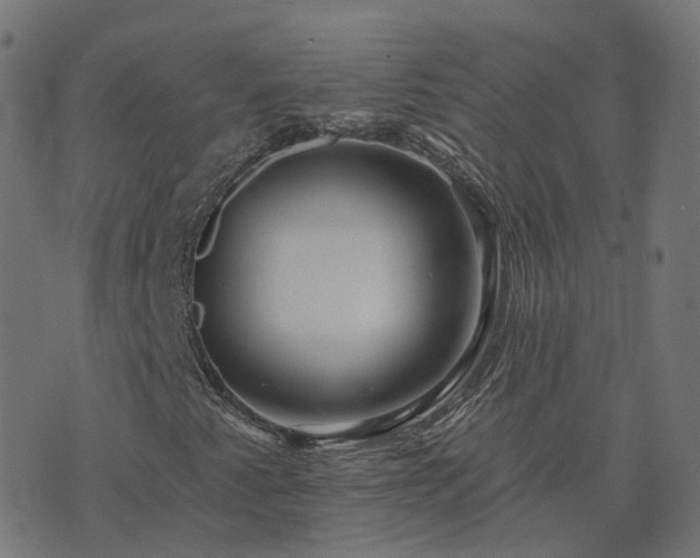 X0000073911345200608181014