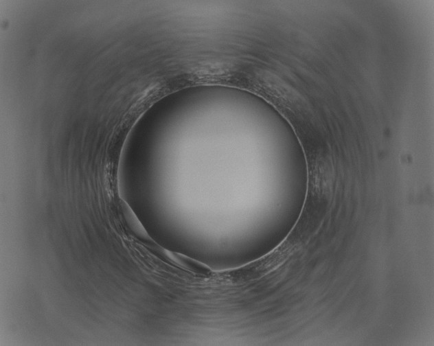 X0000073911346200608181013
