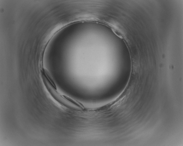 X0000073911383200608181013