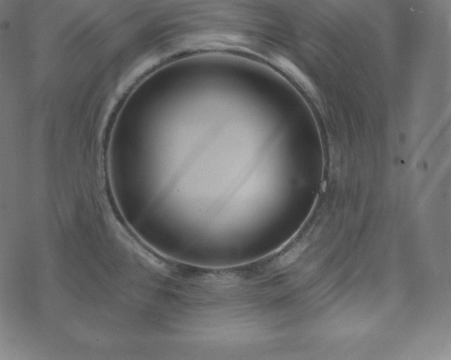 X0000073911384200608181013