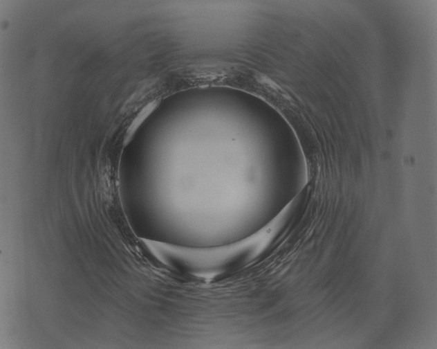 X0000073911394200608181012