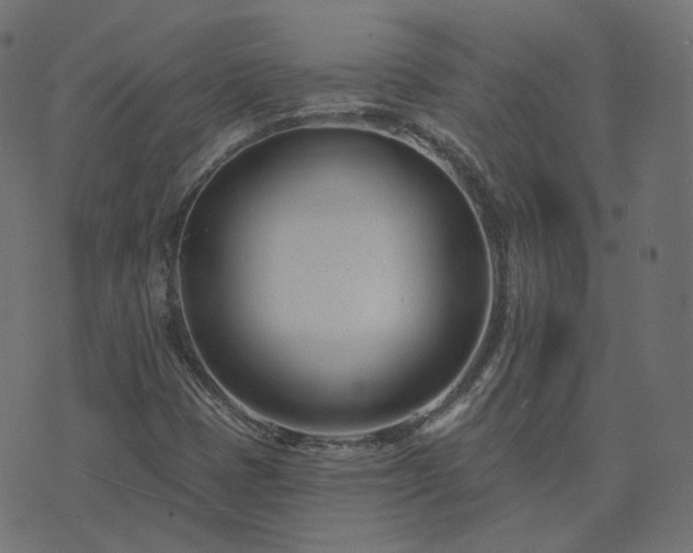 X0000073911401200608181012