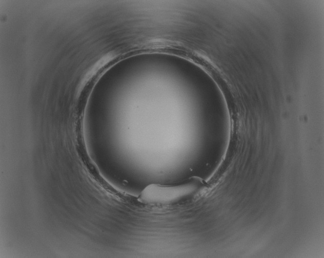 X0000073911410200608181012